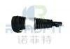 Stoßdämpfer Shock Absorber:6600138562
