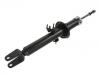 Shock Absorber:56111-EG025