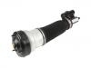 Stoßdämpfer Shock Absorber:220 320 22 38