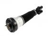 Amortiguador Shock Absorber:220 320 21 38