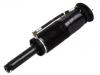 Amortiguador Shock Absorber:220 320 58 13