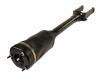 Amortisseur Shock Absorber:164 320 45 13