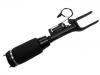 Amortisseur Shock Absorber:251 320 30 13