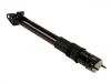 减振器 Shock Absorber:164 320 06 31