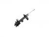 Amortisseur Shock Absorber:54303-CL70J