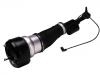 Amortisseur Shock Absorber:221 320 05 38