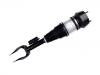 Stoßdämpfer Shock Absorber:166 320 13 13