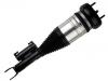 Stoßdämpfer Shock Absorber:205 320 48 68