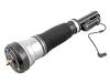 Stoßdämpfer Shock Absorber:220 320 51 13